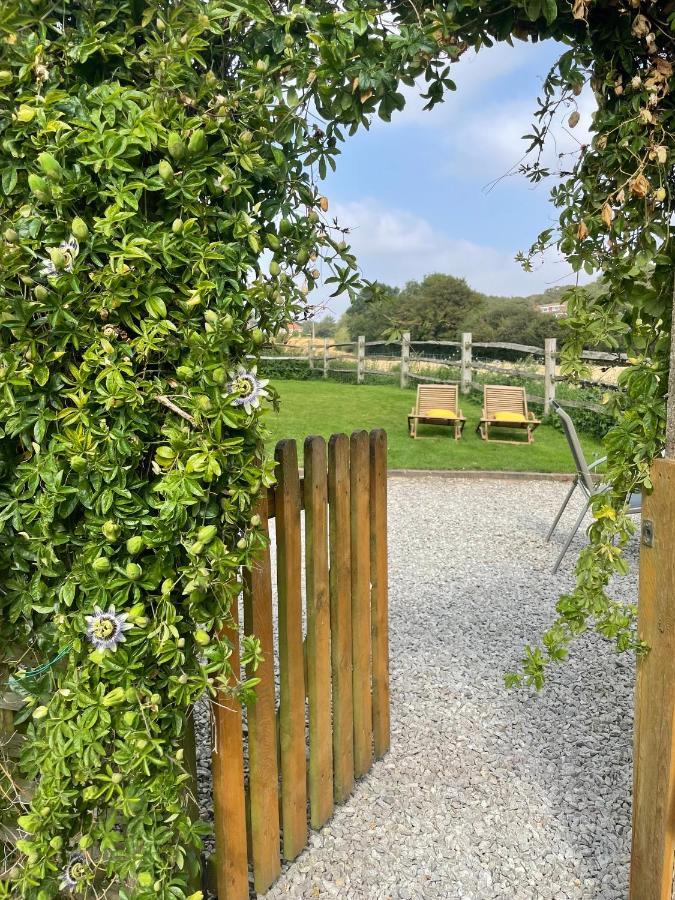 ריי Holmdale Holiday Cottages מראה חיצוני תמונה