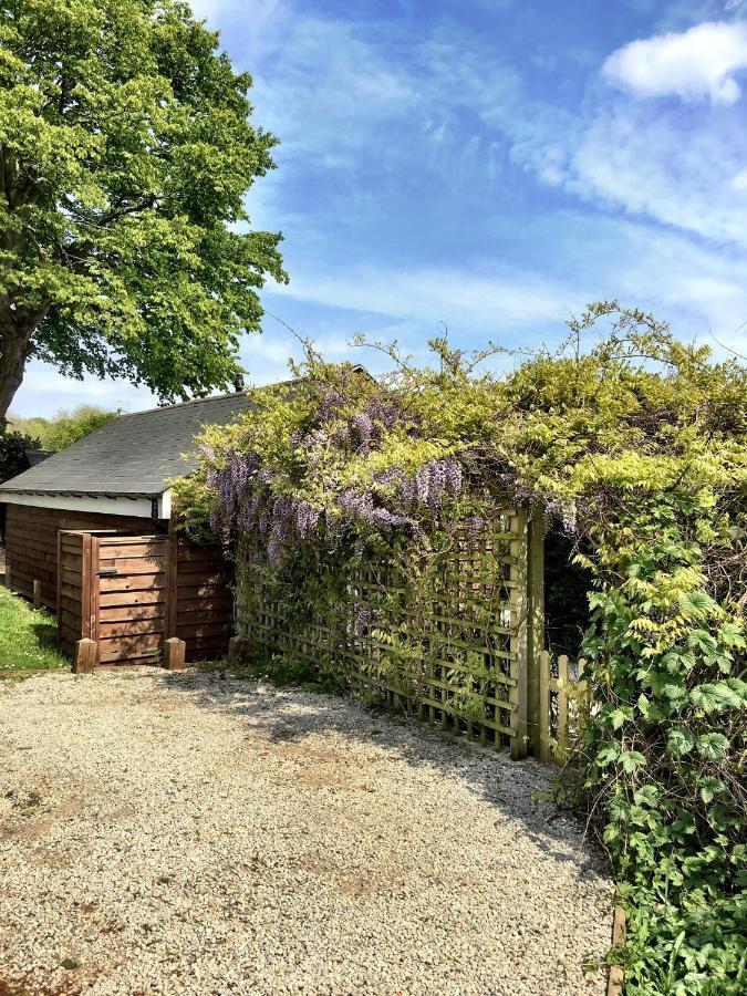 ריי Holmdale Holiday Cottages מראה חיצוני תמונה